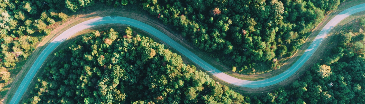 Road through forest. Image used with permission.