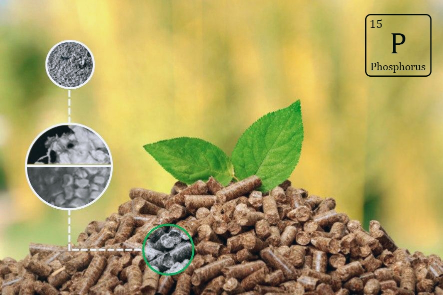 Pellets and leaves. Photo illustration by courtesy of Photo by courtesy of Ali Hedayati.