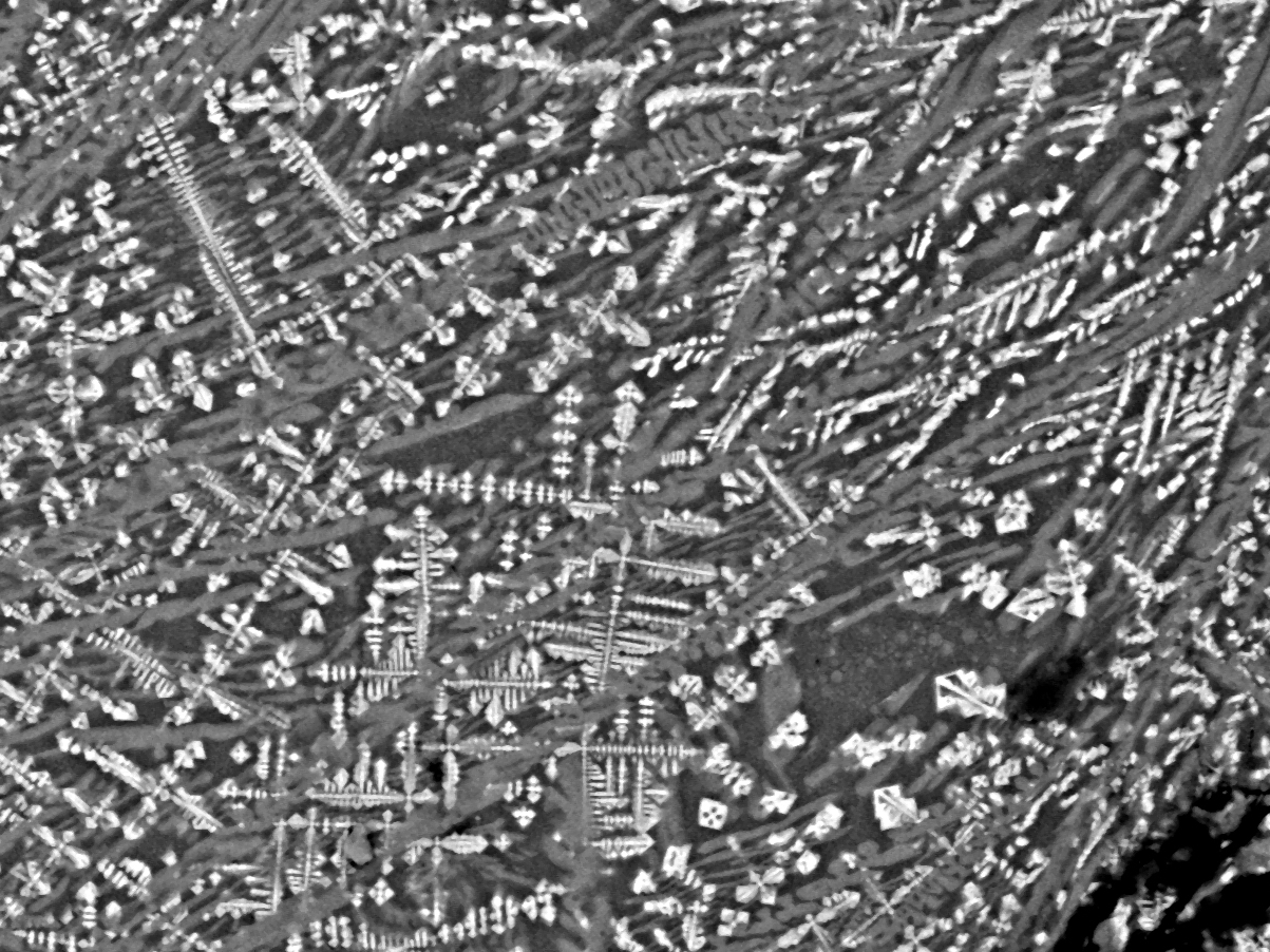 Photo by courtesy of Gustav Häggström.