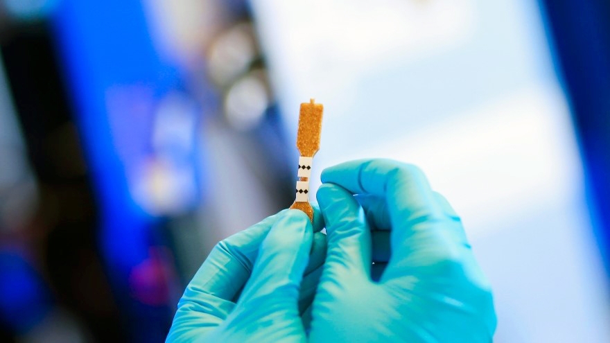 Photo by courtesy of Luleå University of Technology 2022.