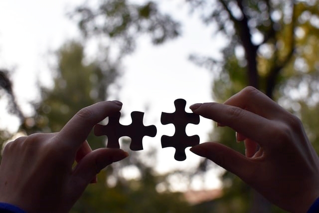 Systems Analysis and Bioeconomy Seeing the way in which the pieces of the puzzle fit together. Photo by Vardan Papikyan, Unsplash 2022.