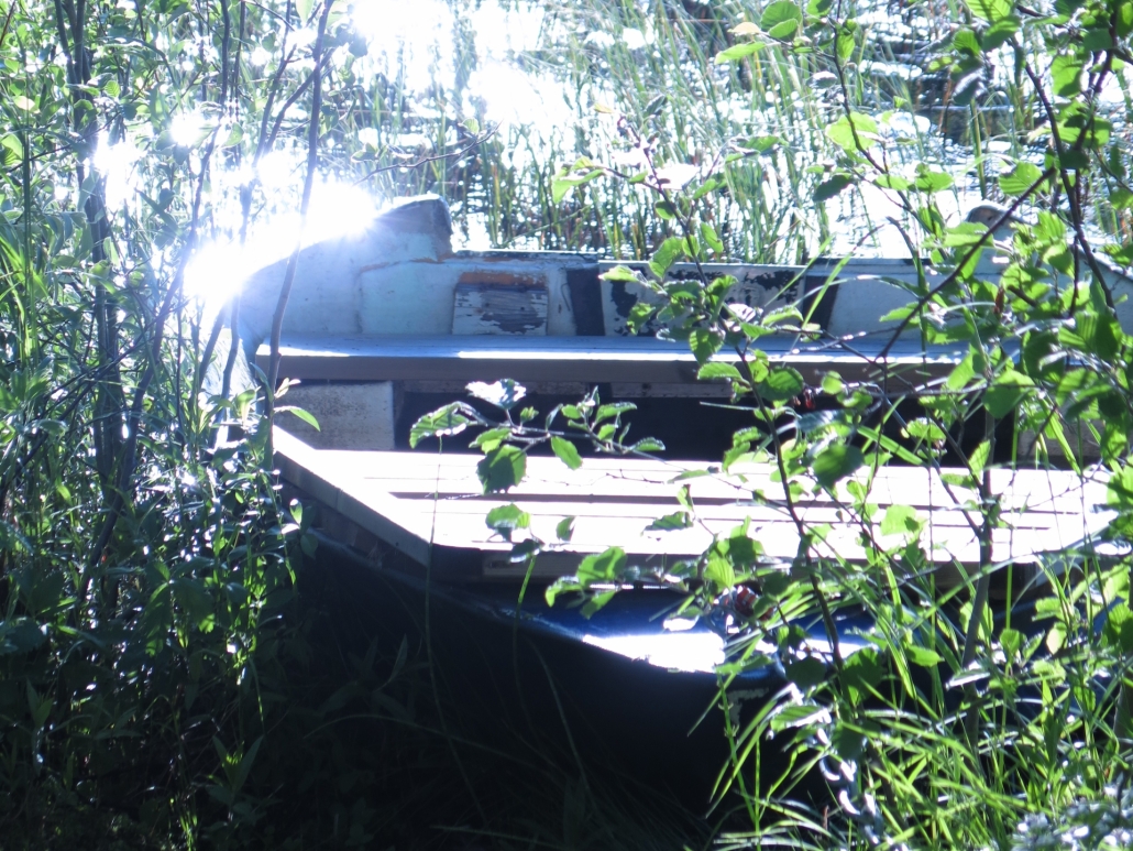 At a lake in northern Sweden, in June. Photo by Anna Strom ©2022.