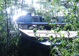 At a lake in northern Sweden, in June. Photo by Anna Strom ©2022.