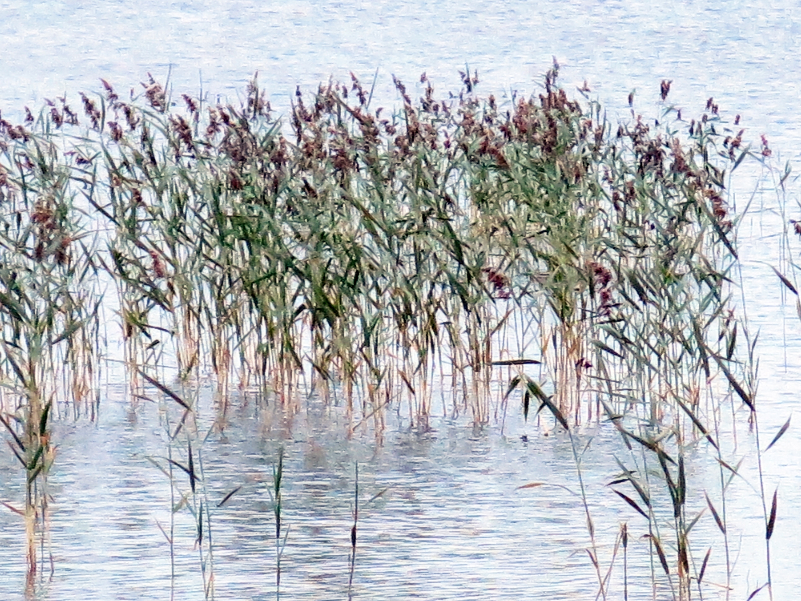 Photo by Anna Strom ©2022.