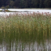 Photo by Anna Strom ©2022.