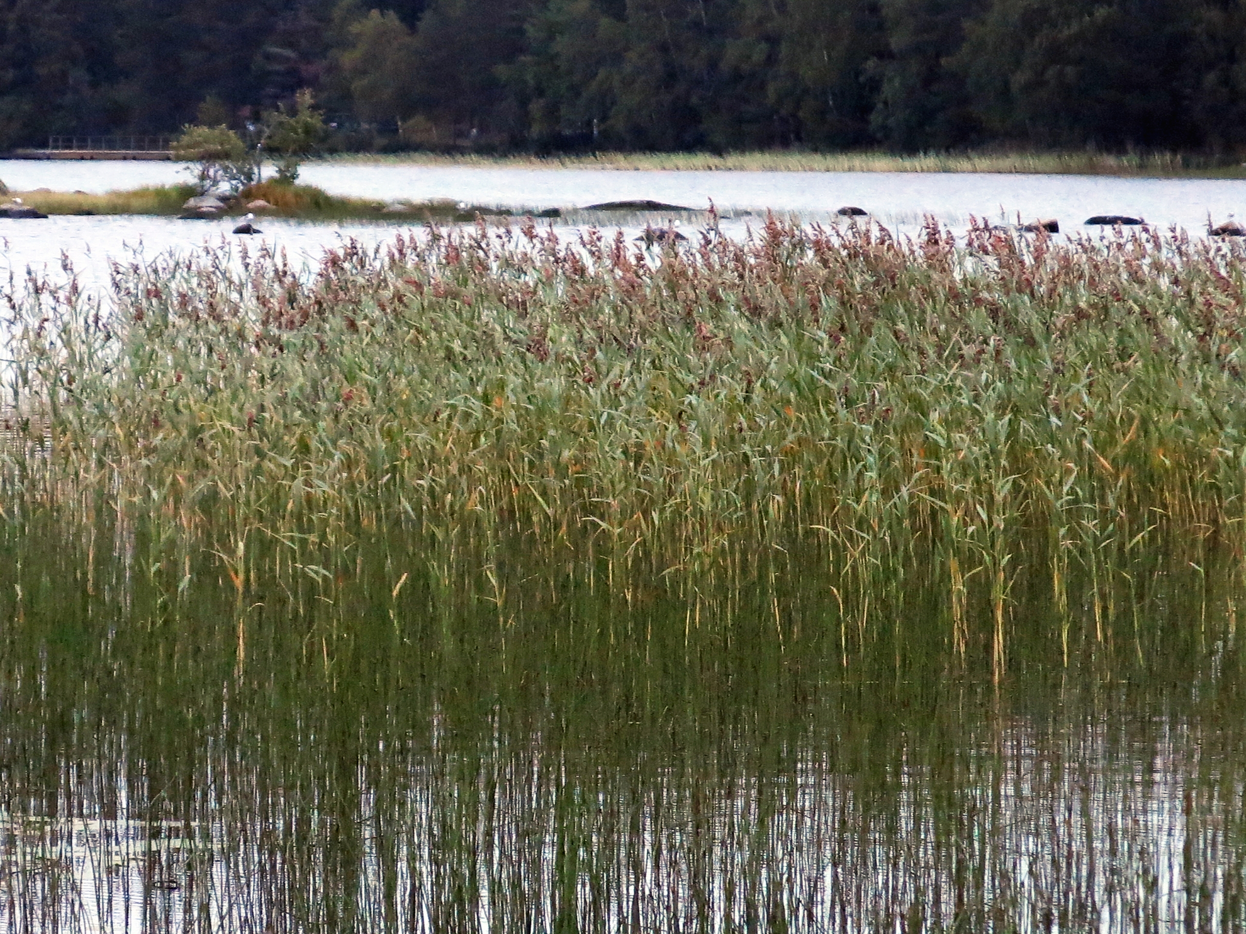 Photo by Anna Strom ©2022.