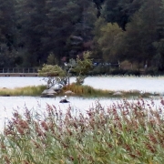 Photo by Anna Strom ©2022.