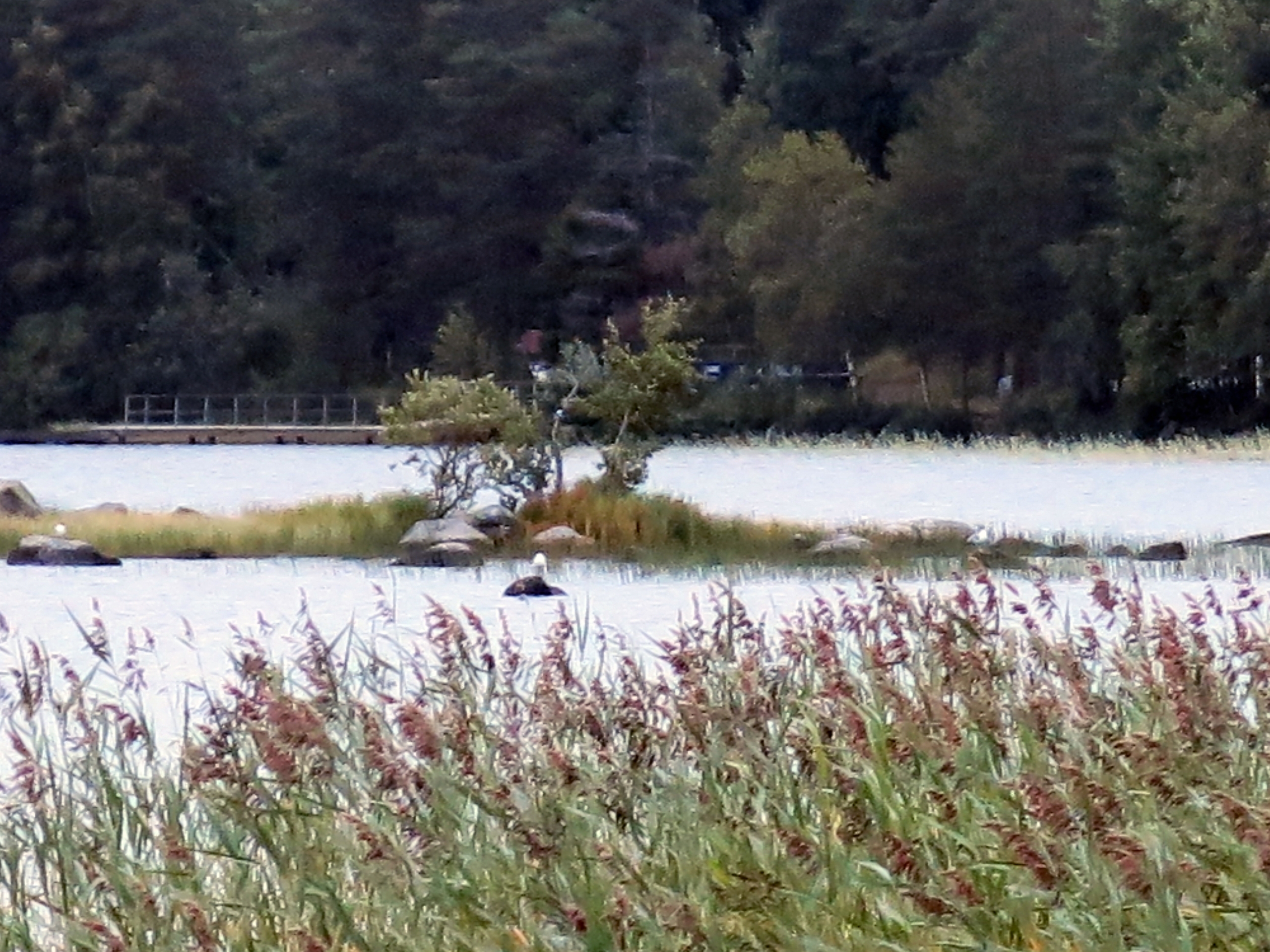 Photo by Anna Strom ©2022.