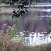 Photo by Anna Strom ©2022.