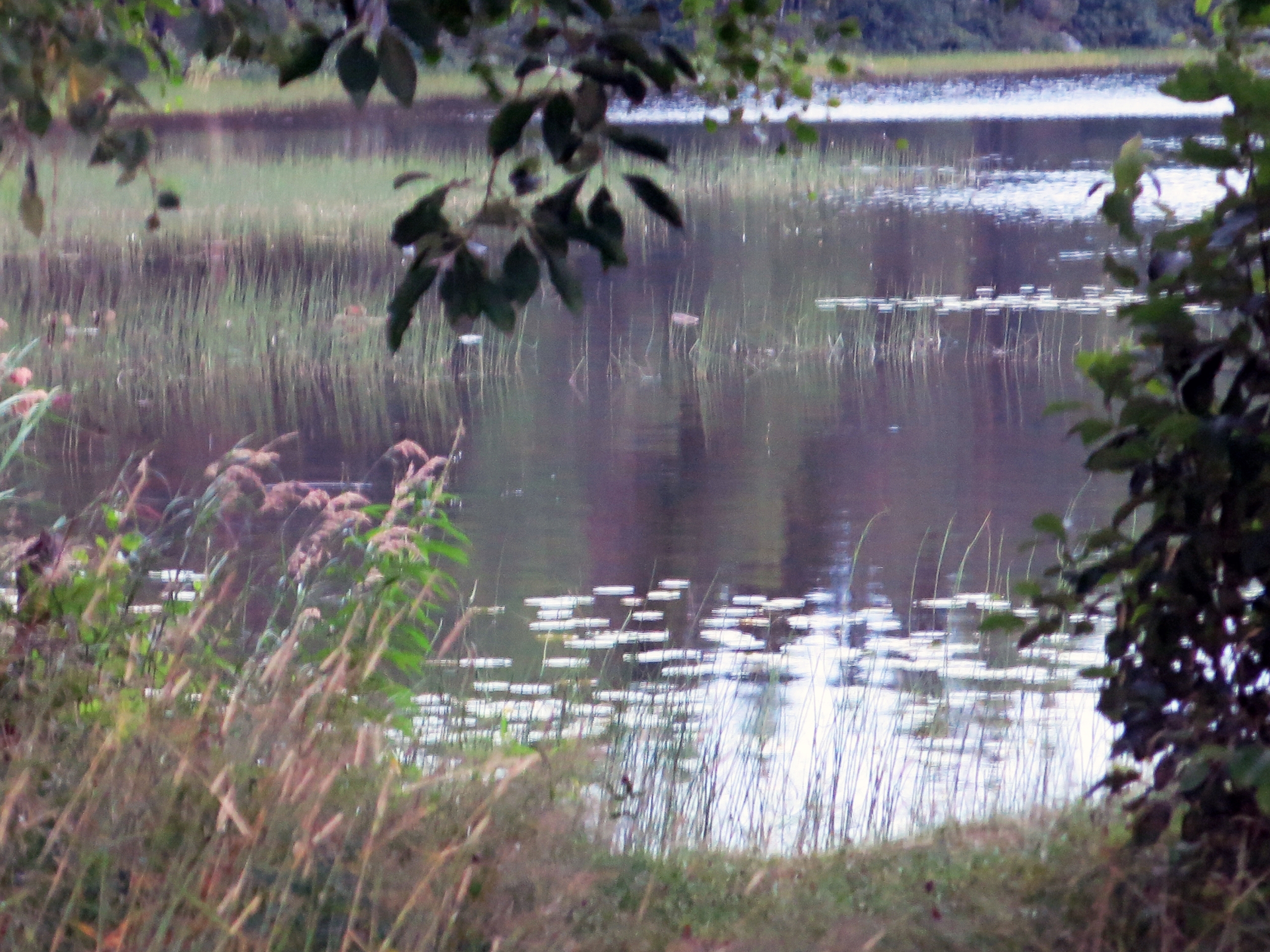 Photo by Anna Strom ©2022.