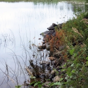 Photo by Anna Strom ©2022.