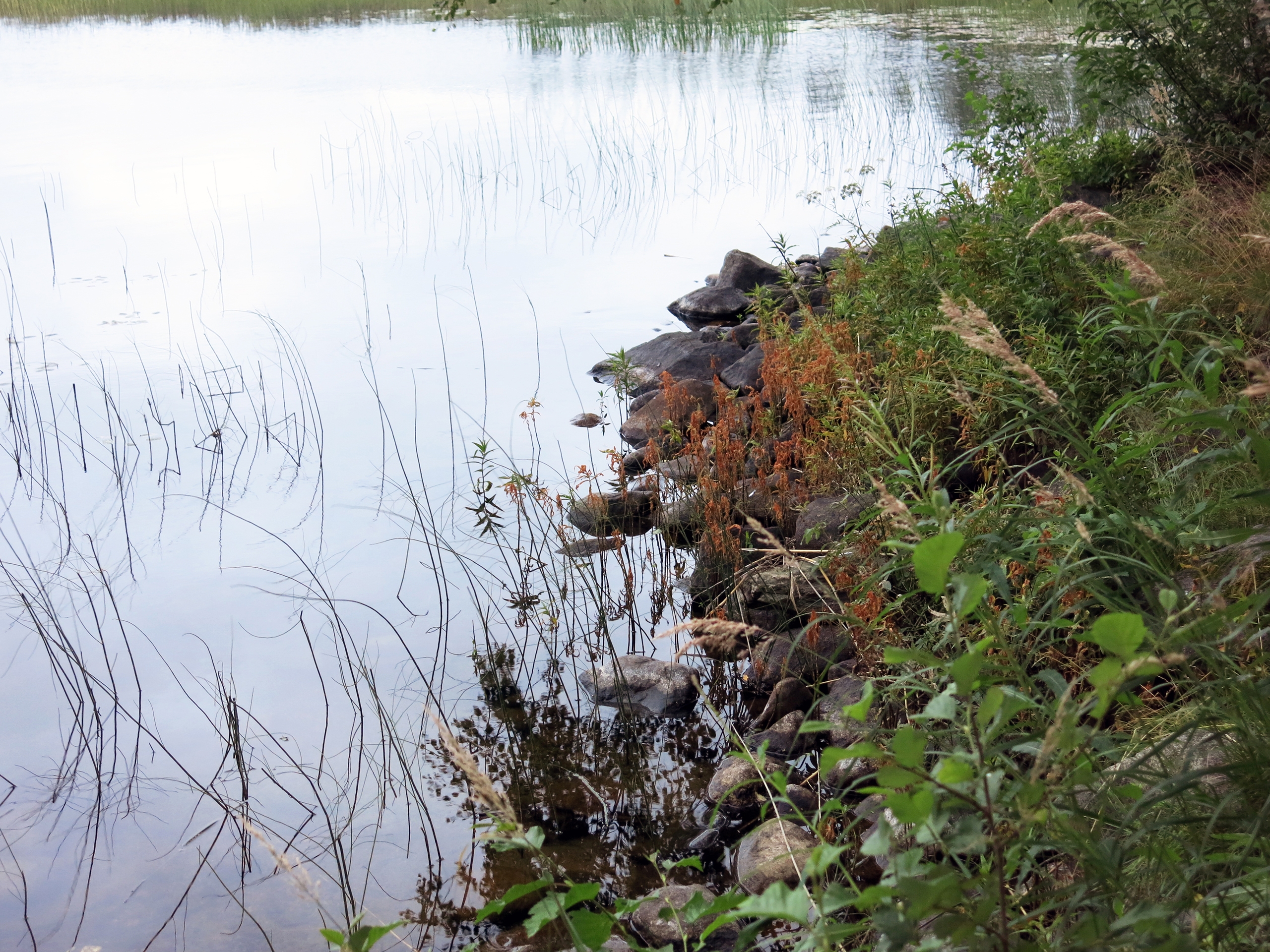 Photo by Anna Strom ©2022.