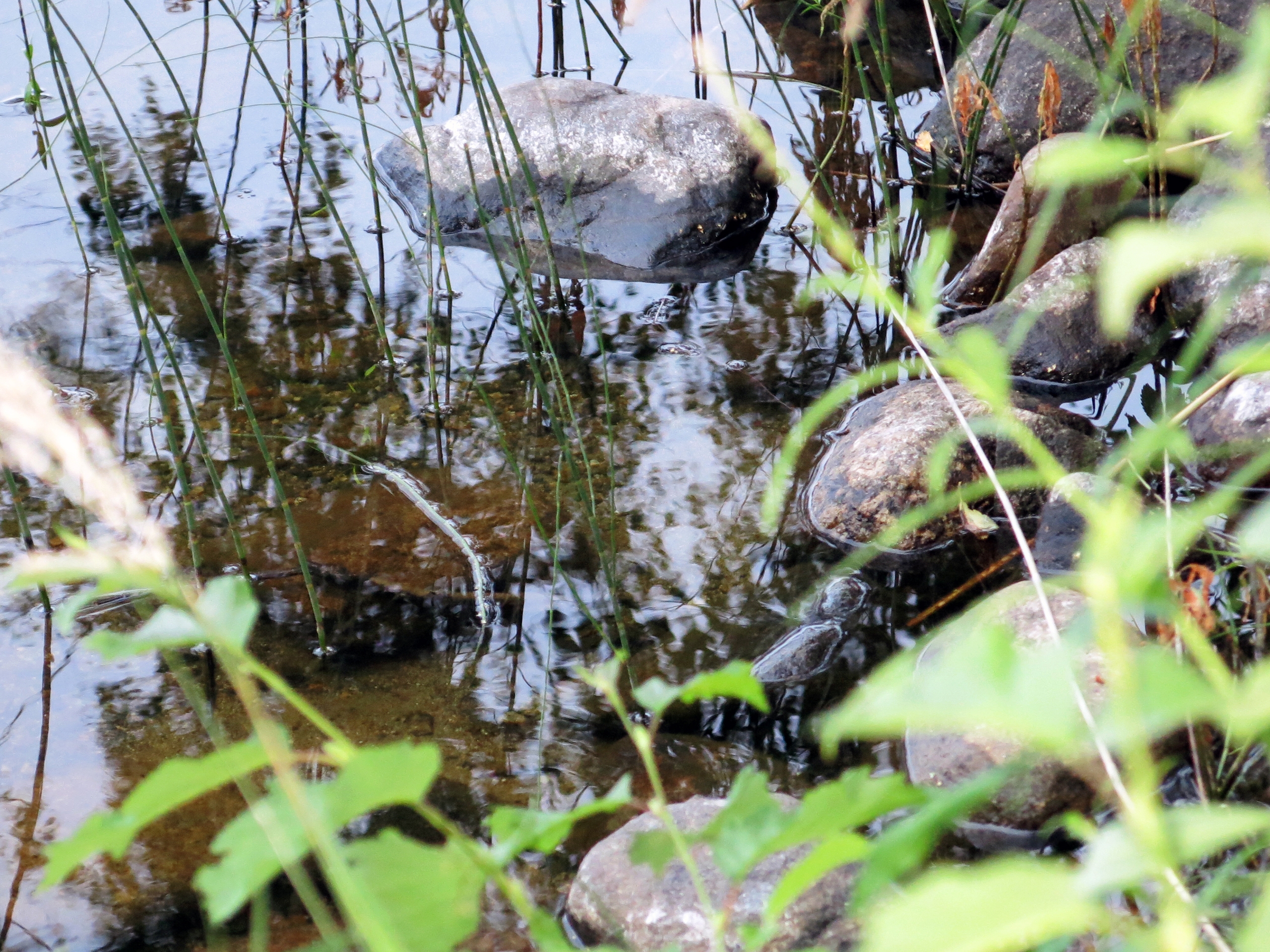 Photo by Anna Strom ©2022.