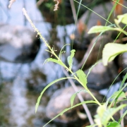 Photo by Anna Strom ©2022.©AnnaStrom