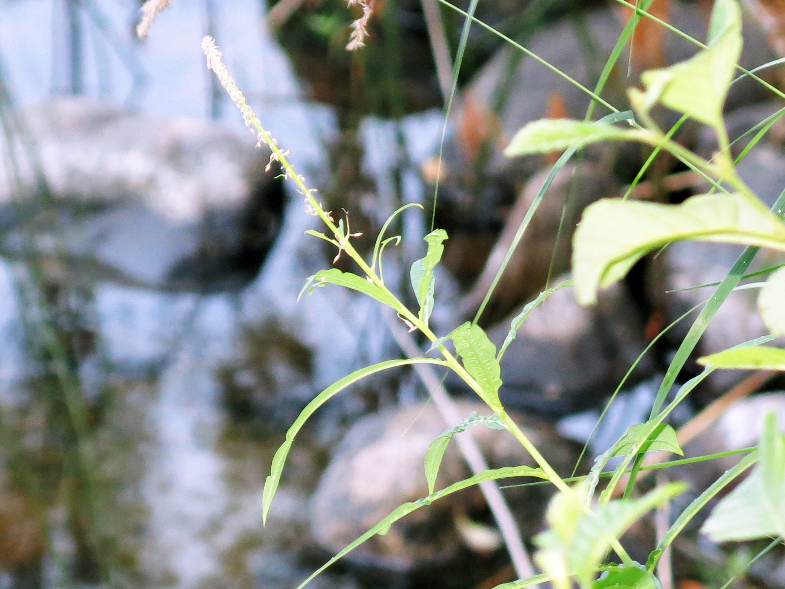 Photo by Anna Strom ©2022.©AnnaStrom