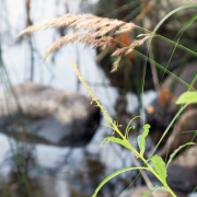 Photo by Anna Strom ©2022.