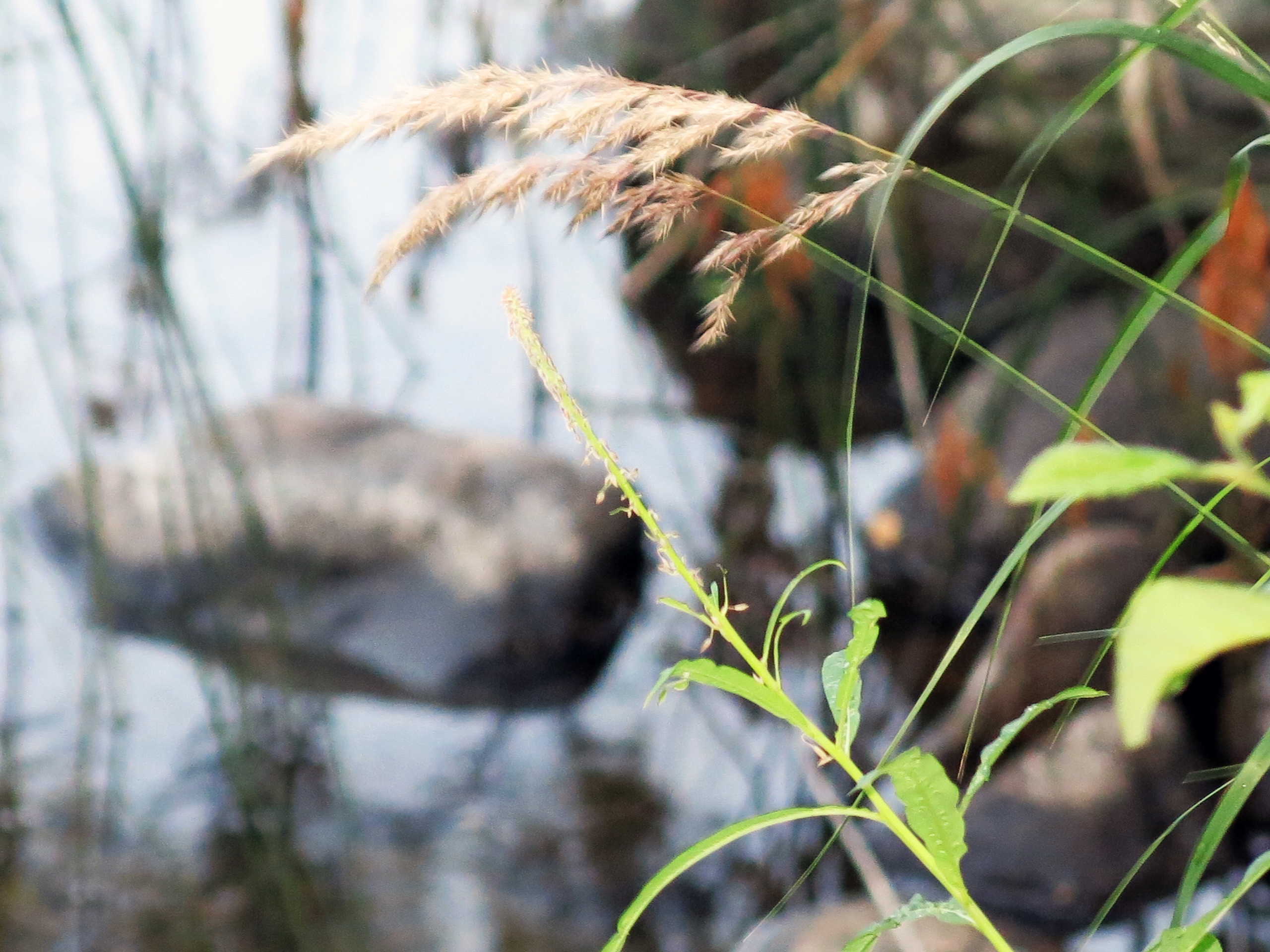 Photo by Anna Strom ©2022.