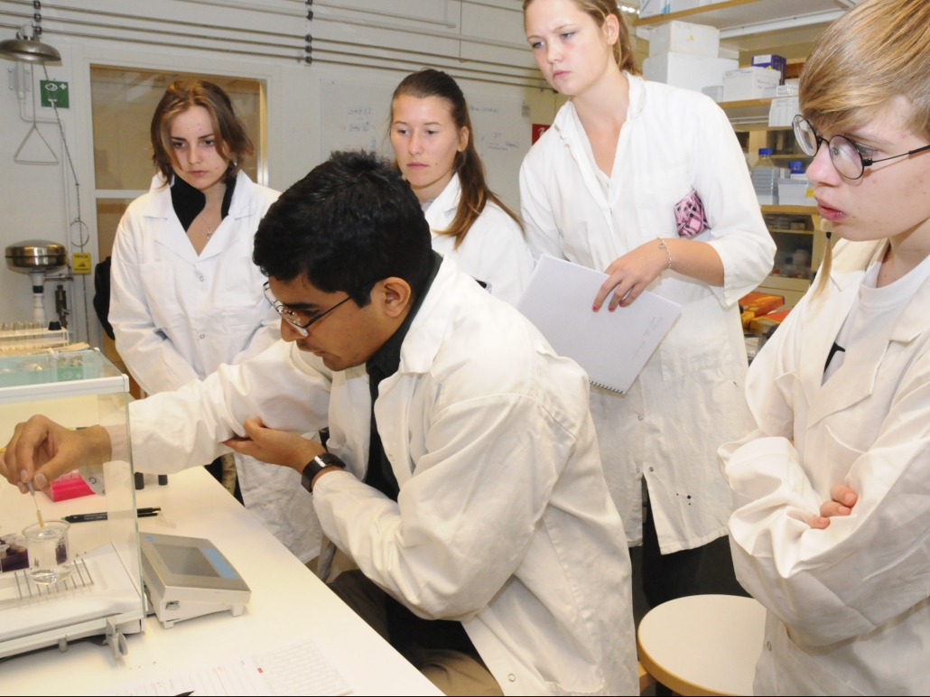 bioresursteknik första kurs_max_28 Students to a Bioresource Technology undergraduate programme making experiments in the laboratory. Photo by courtesy of Umeå University.
