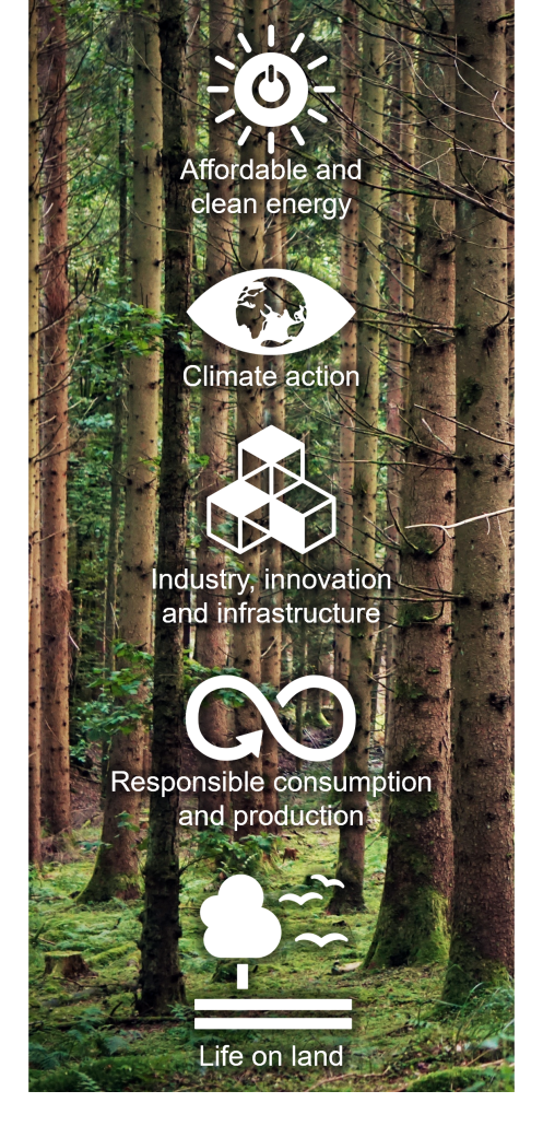 Bio4Energy research and development aim to contribute to realising United Nations' Sustainable Development Goals. Image by Bio4Energy ©2022.