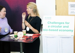 Bio4Energy scientists have won funds for three multi-annual research projects, from the Swedish Research Council. Photo by Anna Strom ©2022 (Archives).