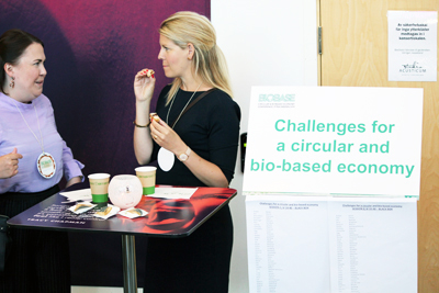 Bio4Energy scientists have won funds for three multi-annual research projects, from the Swedish Research Council. Photo by Anna Strom ©2022 (Archives).